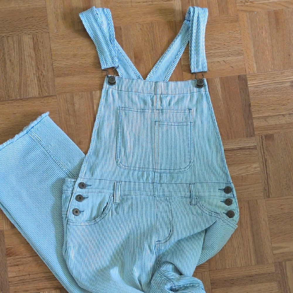 Blue Striped Women's Overalls